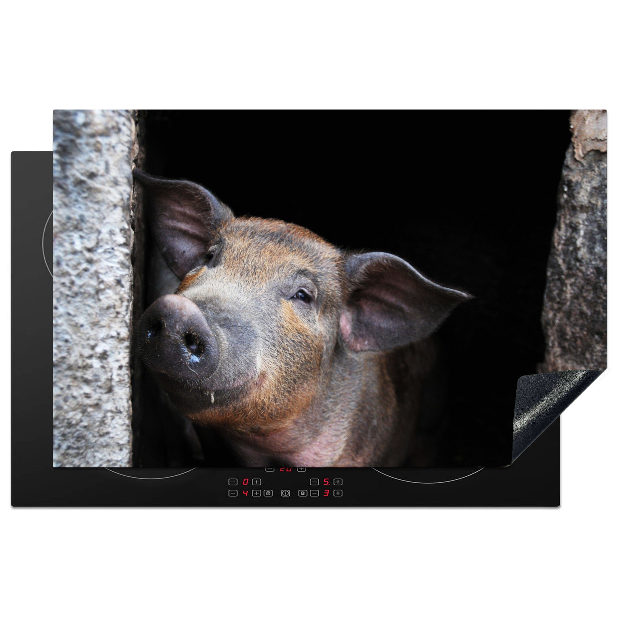 Vinyl, Stein, küche, für Tier Schwein die Herdblende-/Abdeckplatte - tlg), Induktionskochfeld cm, Ceranfeldabdeckung Schutz - MuchoWow 81x52 (1