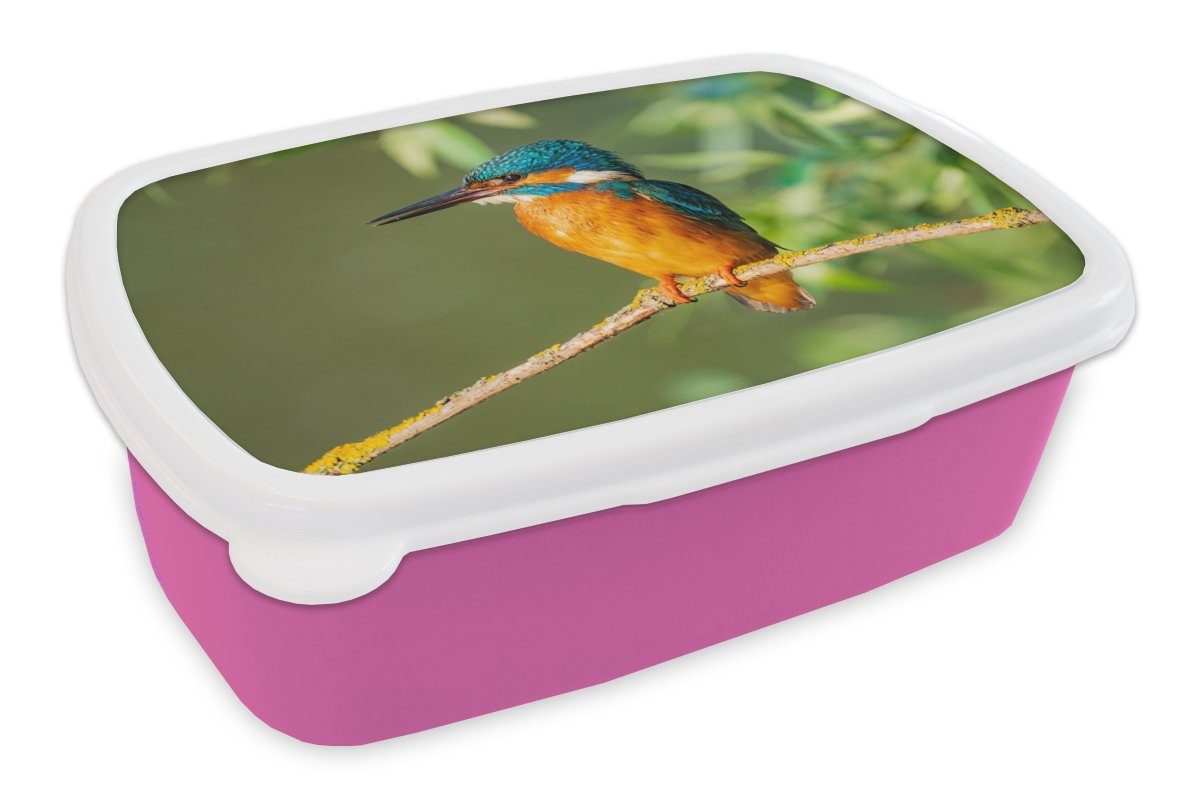 - rosa Lunchbox Snackbox, MuchoWow Mädchen, Kunststoff - Vogel - - Brotdose Eisvogel Zweig Kinder, Erwachsene, Blätter für (2-tlg), Moos, Kunststoff, Brotbox