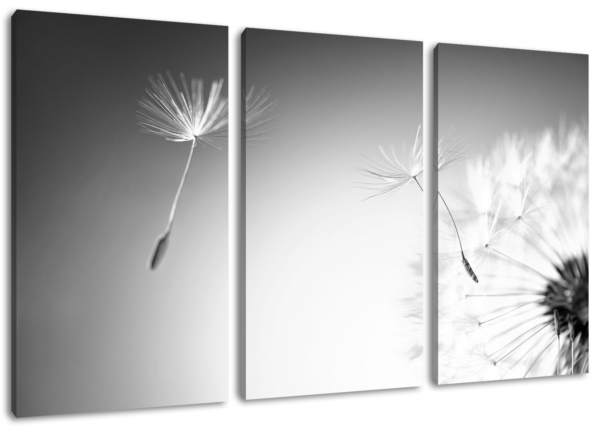 Pixxprint Leinwandbild Löwenzahn Pusteblume, Löwenzahn Pusteblume 3Teiler (120x80cm) (1 St), Leinwandbild fertig bespannt, inkl. Zackenaufhänger