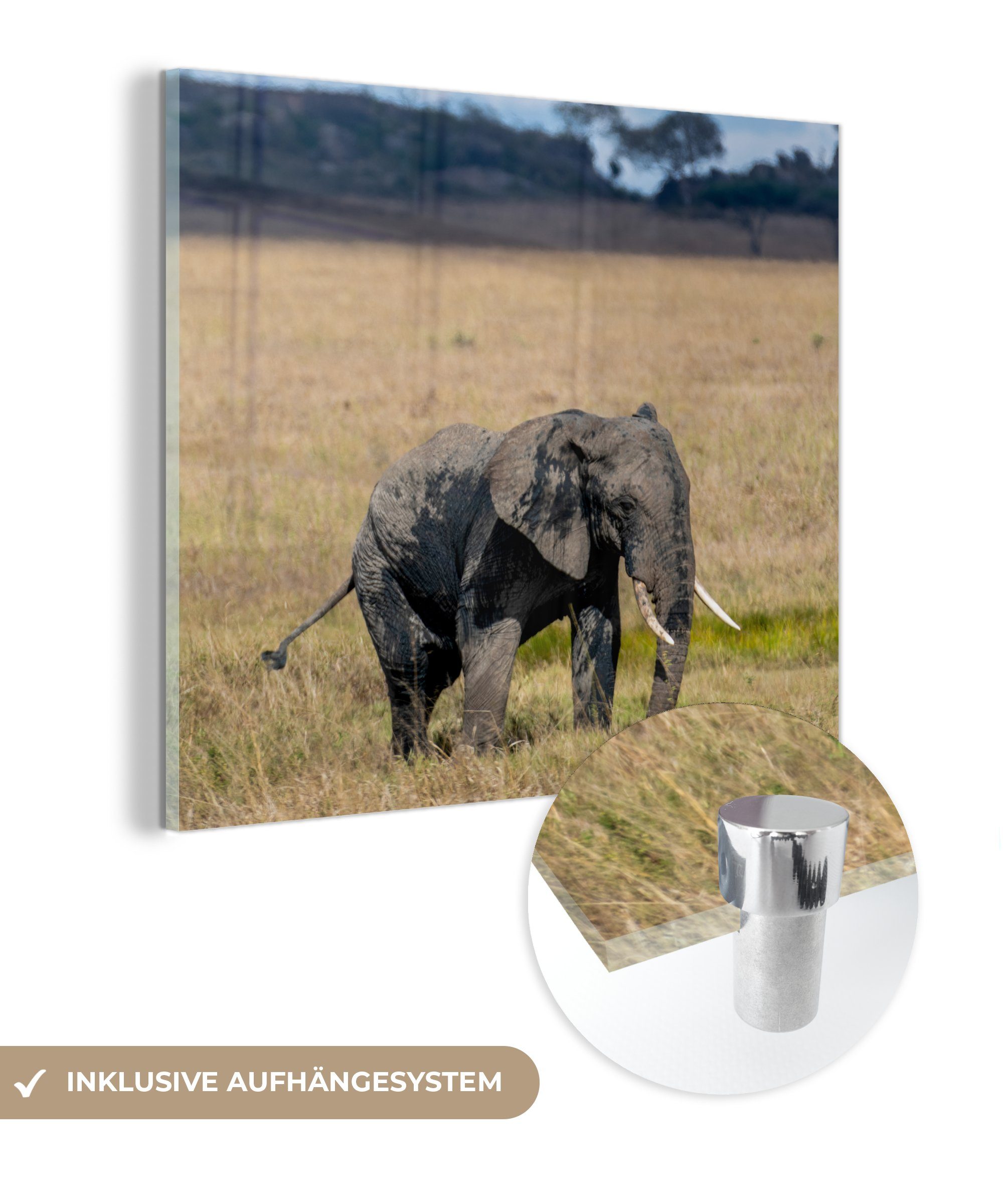 - auf - - Foto Elefant Wanddekoration Wandbild Bilder Gras - Glas Natur, - Tiere - Glas Acrylglasbild auf (1 MuchoWow Glasbilder St),