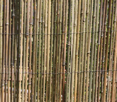 HaGa Sichtschutzelement »BAMBUSMATTE 3m x 1,5m Zaun Sichtschutz«, Bambus-Sichtschutzmatte, Bambus, Windschutz, Sonnenschutz