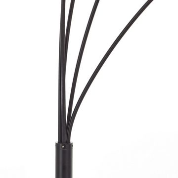 Lightbox Stehlampe, ohne Leuchtmittel, Stehlampe, 200 x 30 x 73 cm, 5 x E14, Metall/Rauchglas, matt schwarz