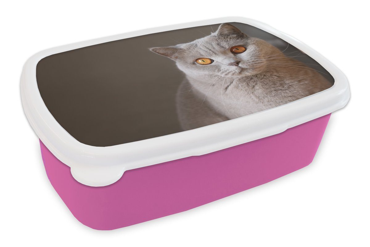 MuchoWow Lunchbox Katze - Tiere - Augen, Kunststoff, (2-tlg), Brotbox für Erwachsene, Brotdose Kinder, Snackbox, Mädchen, Kunststoff rosa