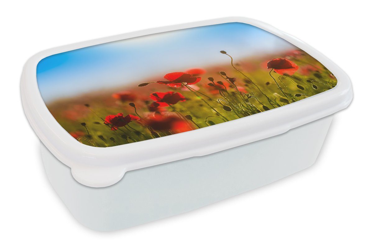 MuchoWow Lunchbox Mohnblumen unter einem klaren blauen Himmel., Kunststoff, (2-tlg), Brotbox für Kinder und Erwachsene, Brotdose, für Jungs und Mädchen weiß