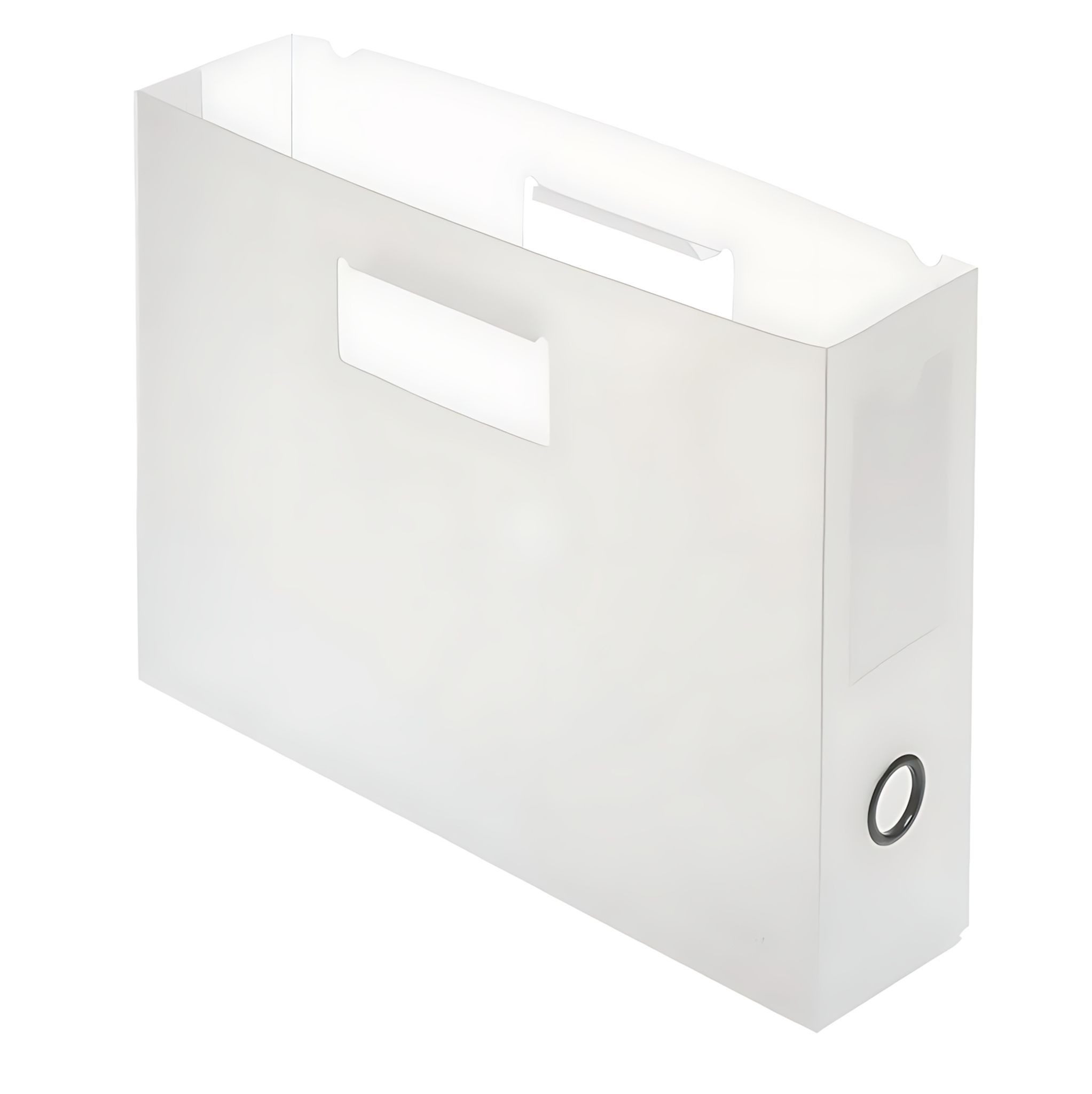 FOLDERSYS Hängeordner FSY PP-Hängemappen-Trog A4, Greifloch, Rückenschildtasche, farblos