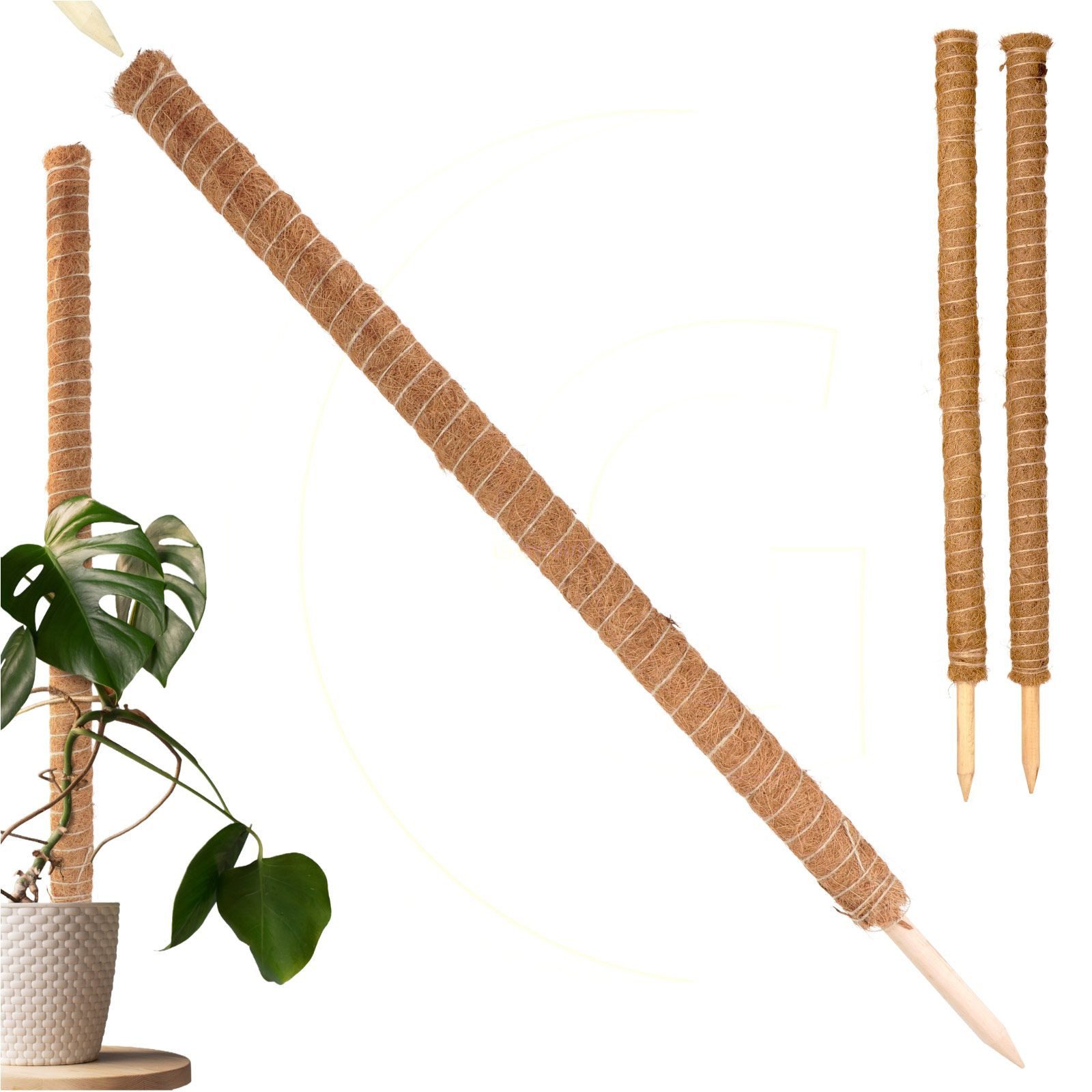 Gravidus Rankhilfe ​Erweiterbare Rankhilfe 110 cm mit Kokosfilz für Zimmerp günstig online kaufen