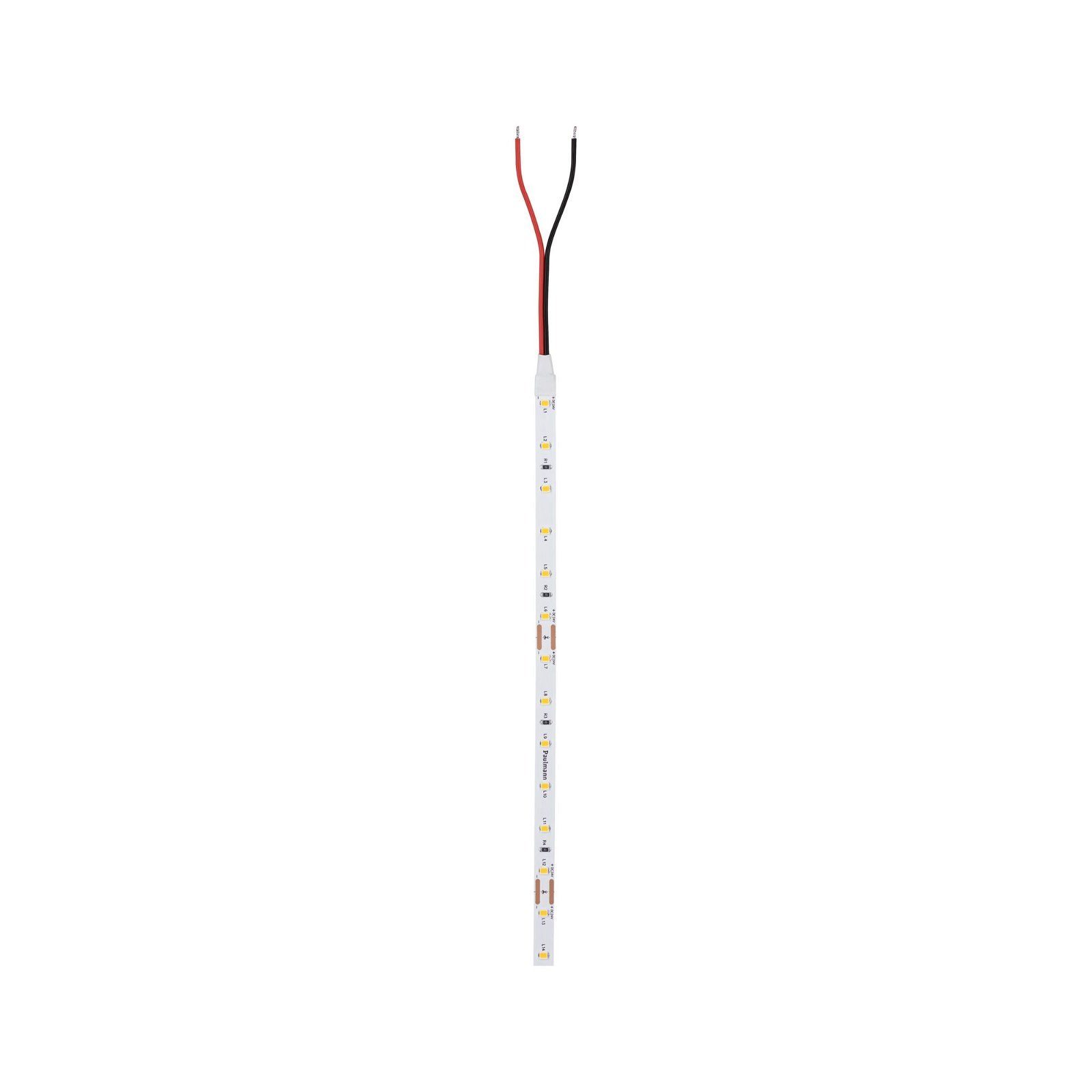 Paulmann LED-Streifen Pro Strip Gold P25 günstig online kaufen