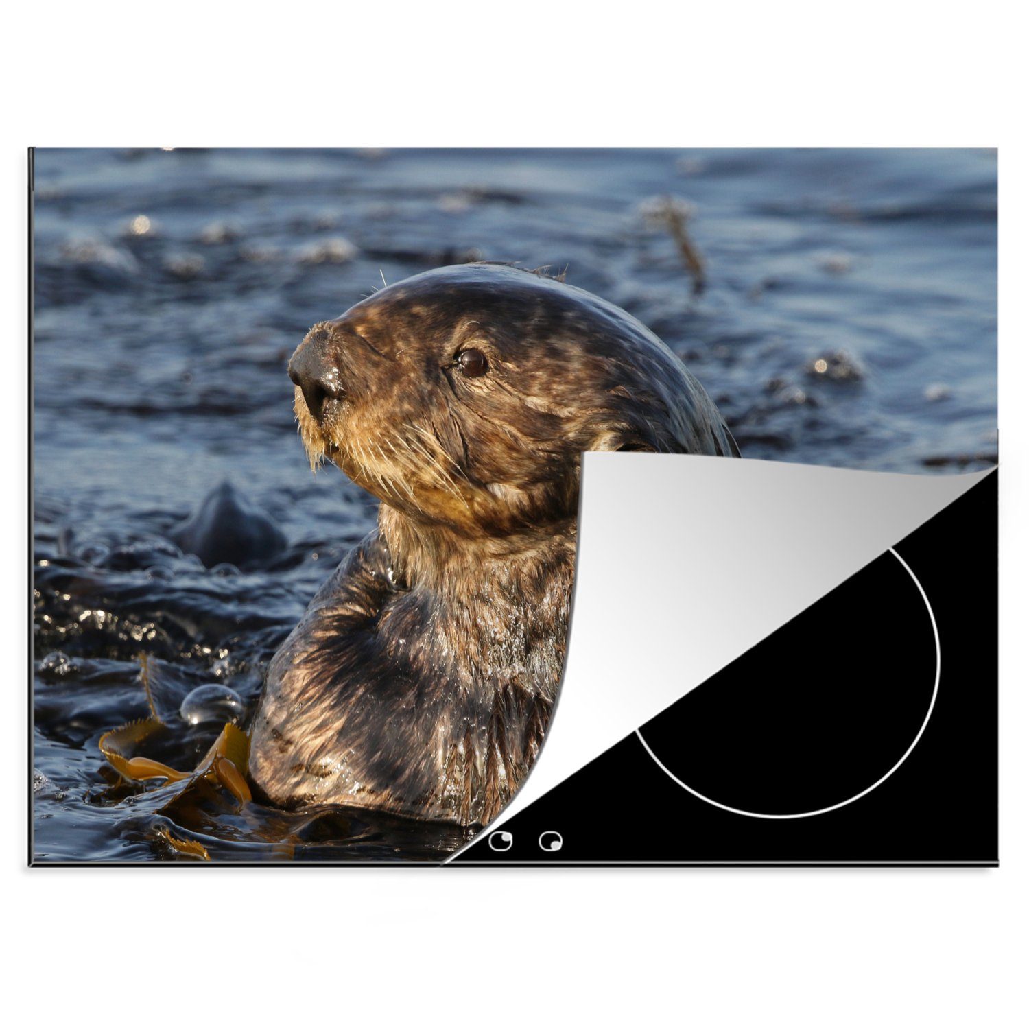 MuchoWow Herdblende-/Abdeckplatte Tiere - Otter - Wasser, Vinyl, (1 tlg), 70x52 cm, Mobile Arbeitsfläche nutzbar, Ceranfeldabdeckung
