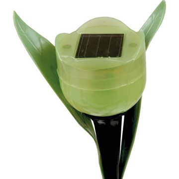 Bestlivings LED Solarleuchte Tulpensticks-05011, LED fest integriert, Tageslichtweiß, LED festintegriert, Solarlampe, Gartenlampe(ca. 30cm Höhe) Tulpenoptik