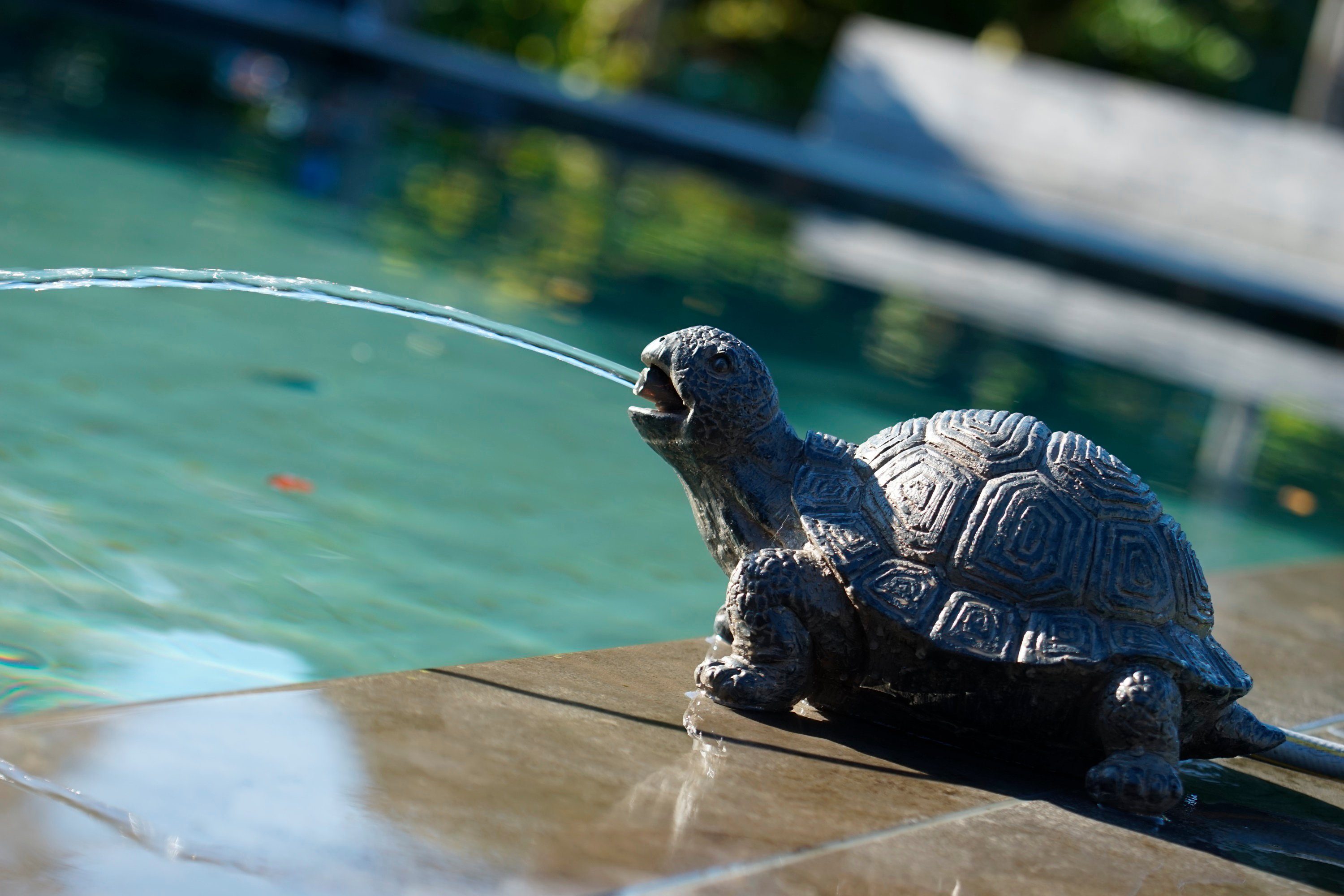 Ubbink Wasserspeier Schildkröte, BxLxH: 18x14x21 cm