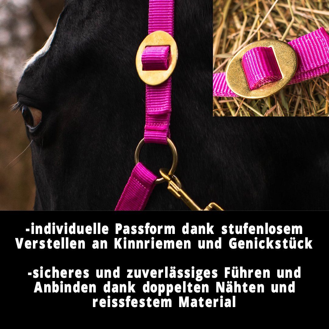 Pferdelinis Halfter Halfter für Pferde 2-Fach verstellbar an Kinnriemen und Genickstück, zweifach verstellbar
