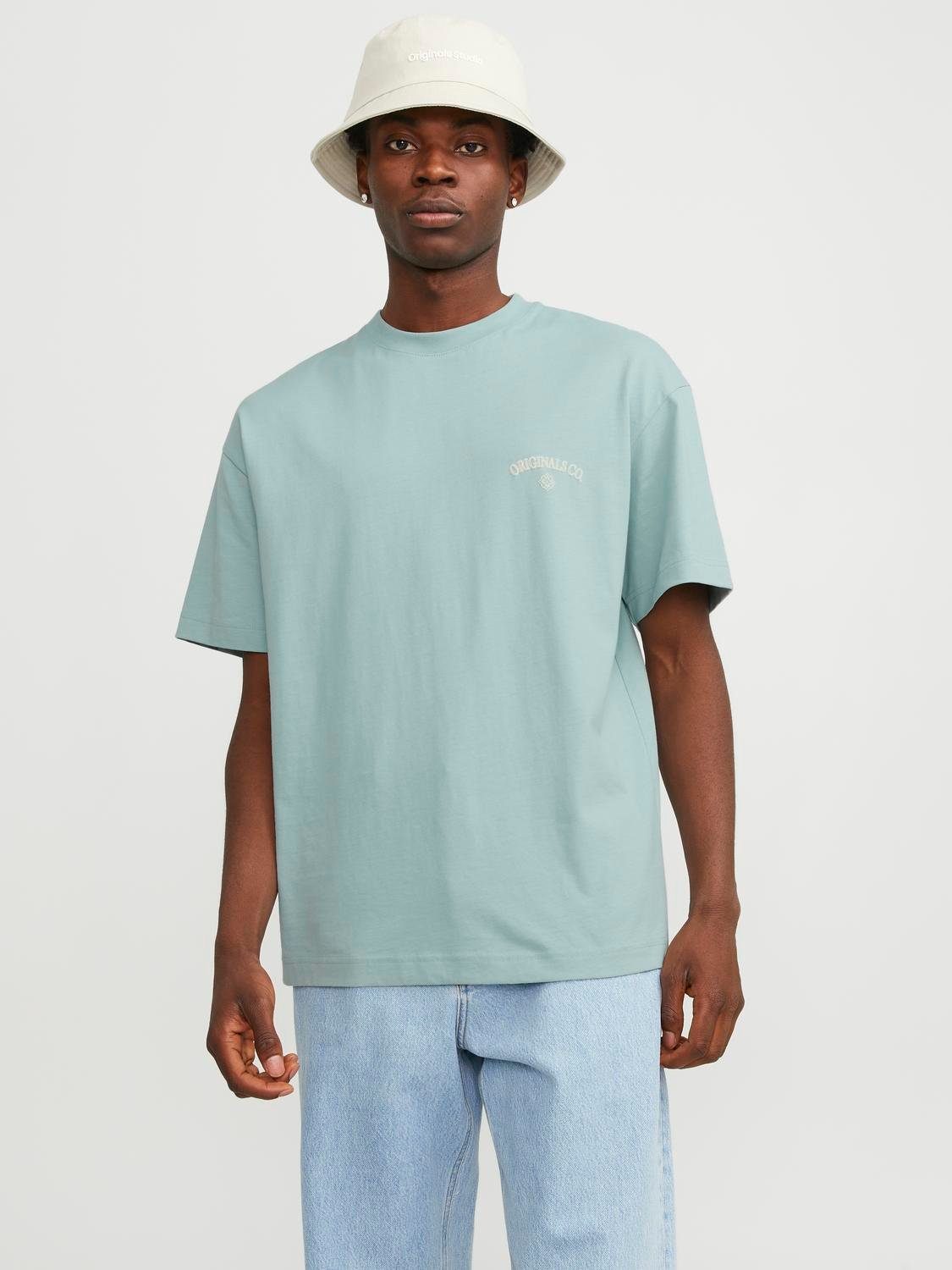 Jack & Jones Oversize-Shirt "JORSANTORINI BACK TEE SS CREW NECK SN" günstig online kaufen