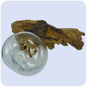 SIMANDRA Dekovase Wurzelholz (Schale), GH 10 - 12 cm, Holz L 24 - 28 cm B 18 - 20 cm, Glas ⌀ ca. 13 - 15 cm