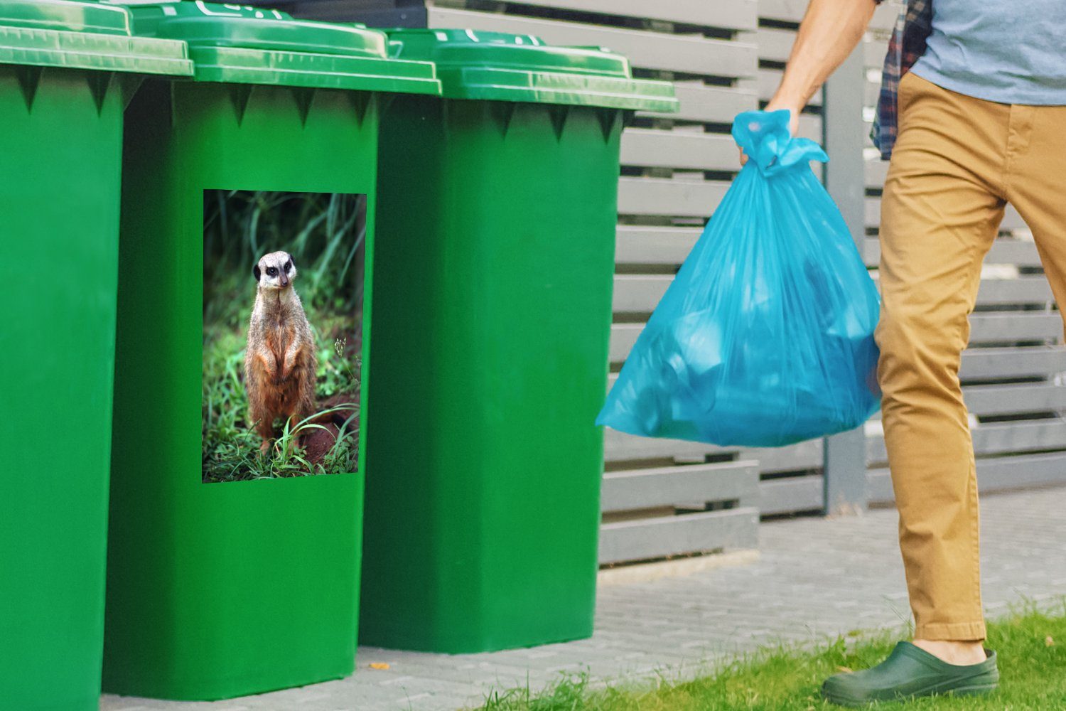 Erdmännchen Wandsticker (1 Gras Mülltonne, Tier Abfalbehälter St), - MuchoWow Mülleimer-aufkleber, - Sticker, Container,