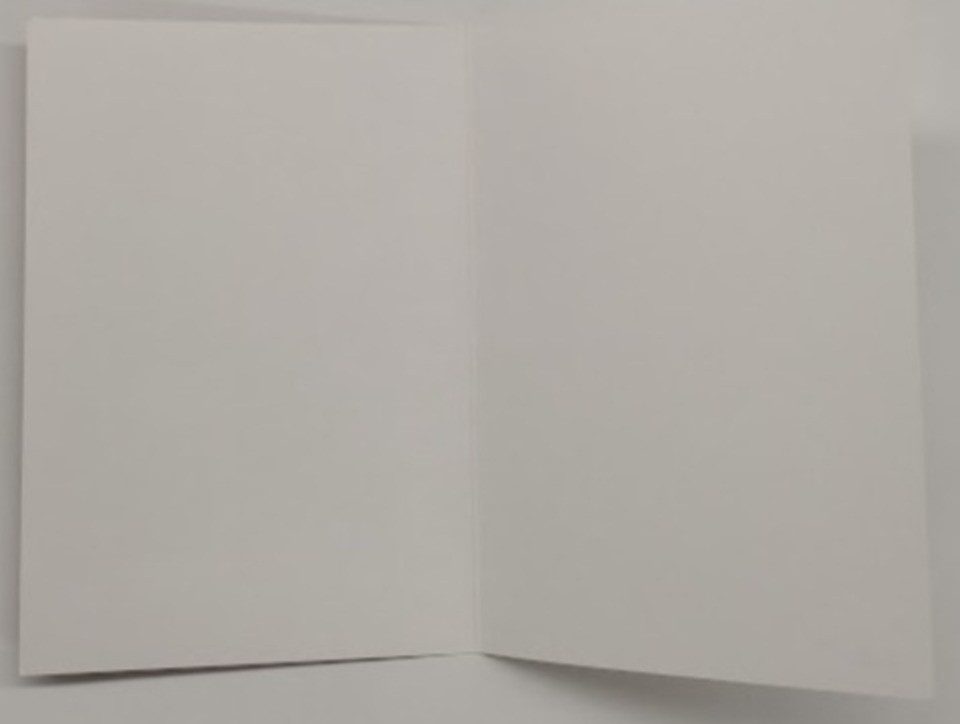 LYSCO Grußkarten 10 Glückwunschkarten Glückwünsche Hochzeit + DIN A6 Umschlag, Glückwunschkarten Geschenk Vermählung Feier, 4seitig - klappbar