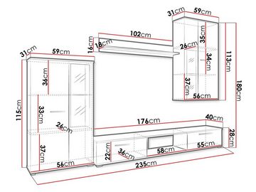 MIRJAN24 Wohnwand Salsa, (4er-Set, Hängevitrine, Wandregal, TV-Lowboard, Vitrine), mit Glasregale, LED-Beleuchtung als Option