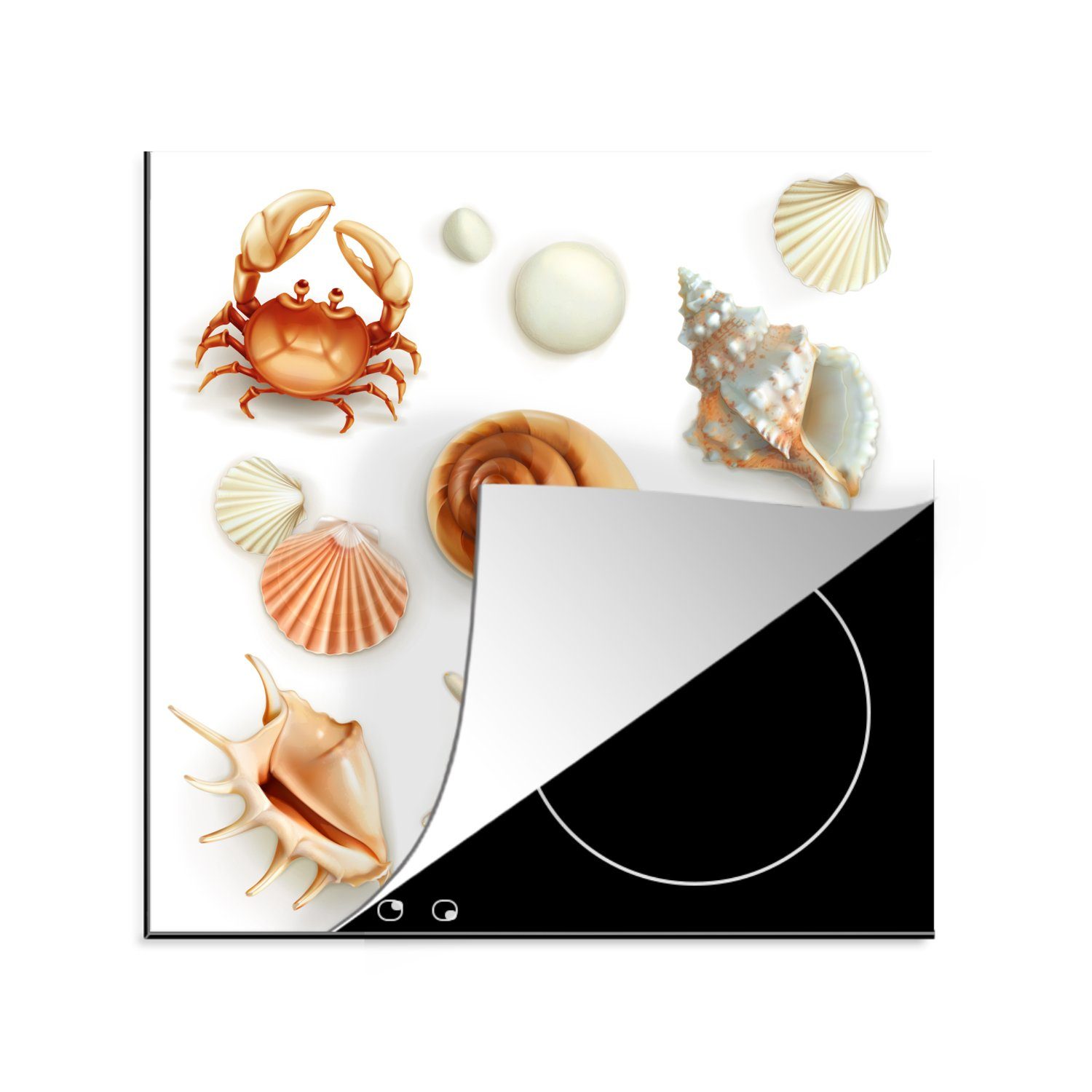 MuchoWow Herdblende-/Abdeckplatte Muscheln - Meerestiere - Collage, Vinyl, (1 tlg), 78x78 cm, Ceranfeldabdeckung, Arbeitsplatte für küche