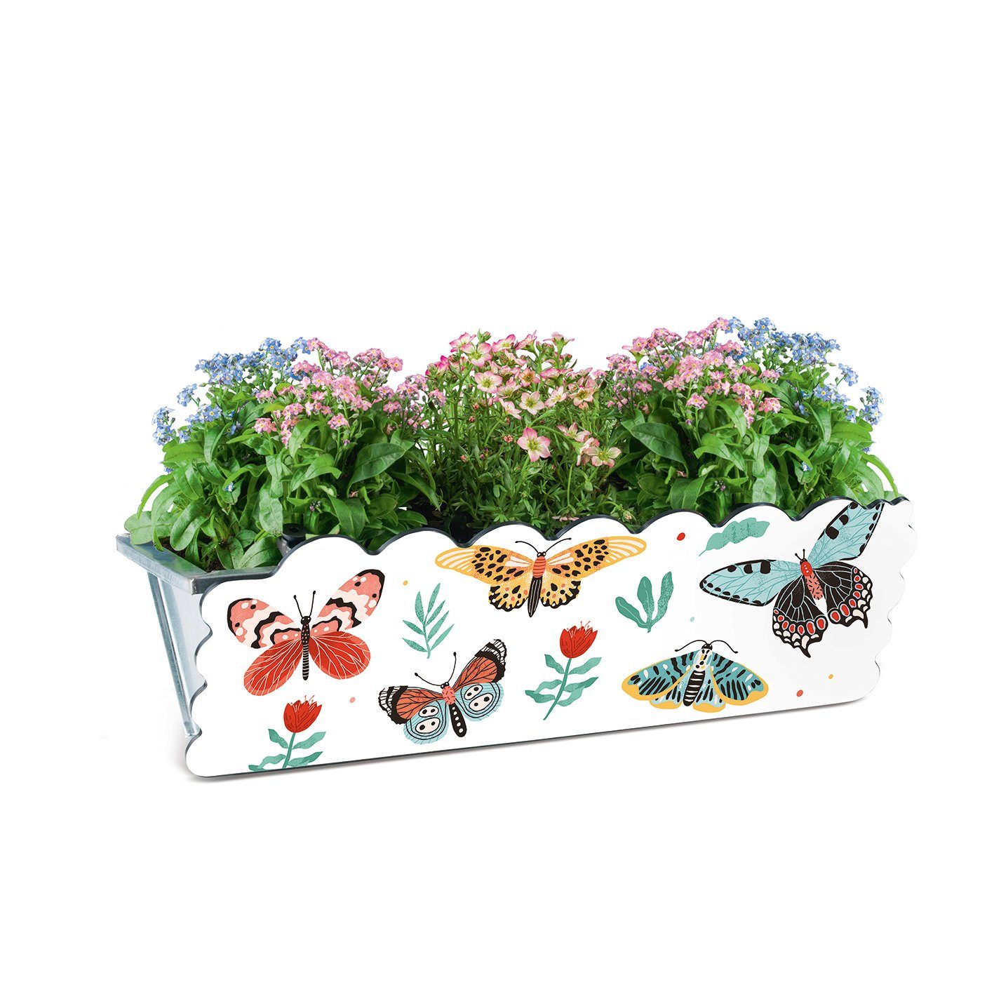 MAXXMEE Blumenkasten, Kastendekoration Schmetterling 30-50 cm Breite bunt