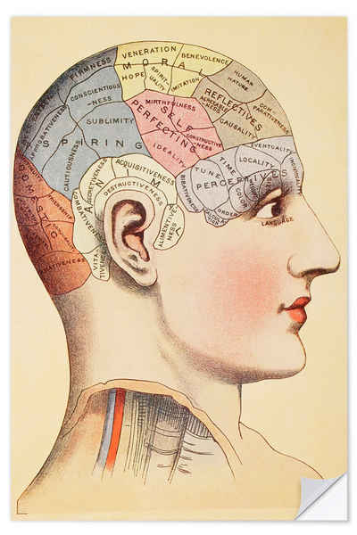 Posterlounge Wandfolie Vintage Educational Collection, Karte des menschlichen Gehirns (Englisch), Arztpraxis Vintage Illustration