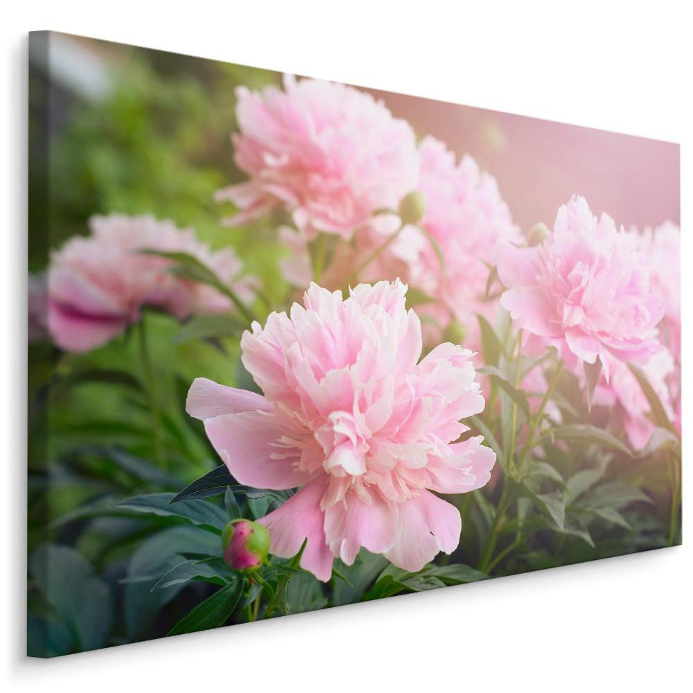 Muralo Leinwandbild Landschaft – Leinwandbild Wandbild Kunstdruck Wohnzimmer, Gewässer (1 St), Pfingstrosen – Blumen – Natur, 30 x 20 cm, aufhängefertig