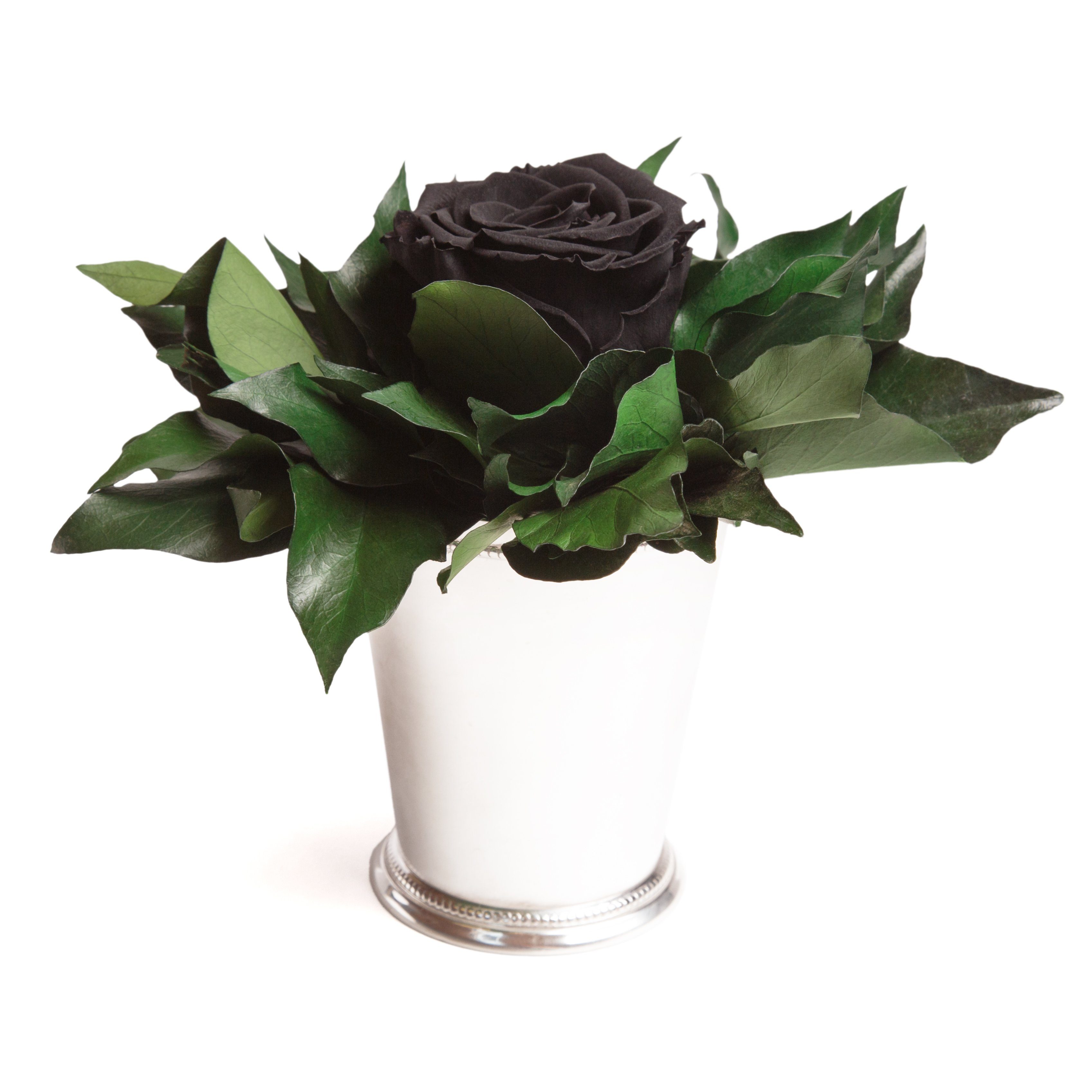 Künstliche Zimmerpflanze 1 Infinity Blume Becher silberfarben Geschenkidee für Frauen Rose, ROSEMARIE SCHULZ Heidelberg, Höhe 12 cm, Echte Rose lange haltbar Schwarz