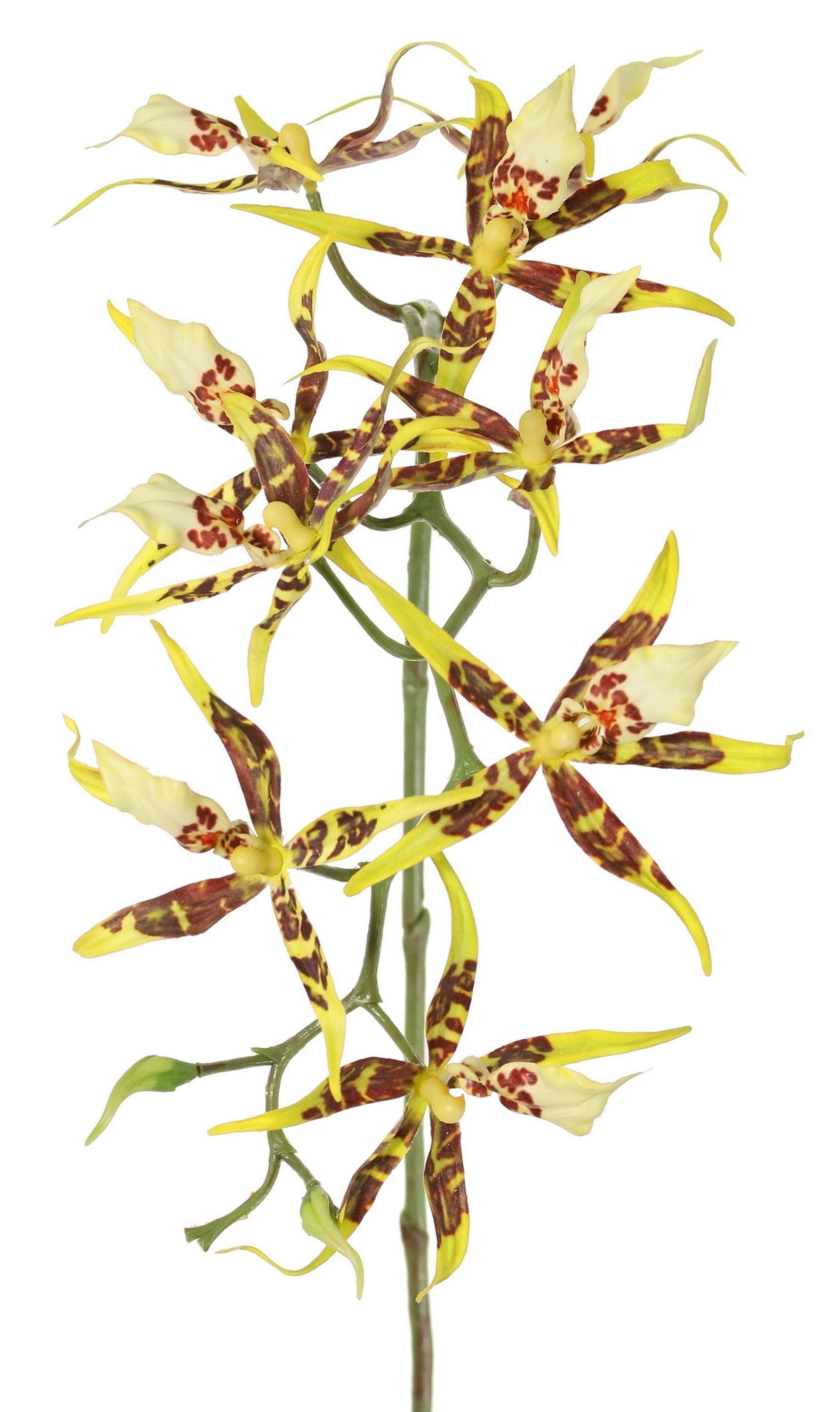 Kunstorchidee Künstlicher Brassia Orchideen Zweig ORELA, gelb-rot, 90cm Orchidee (Orchidee brassia), artplants