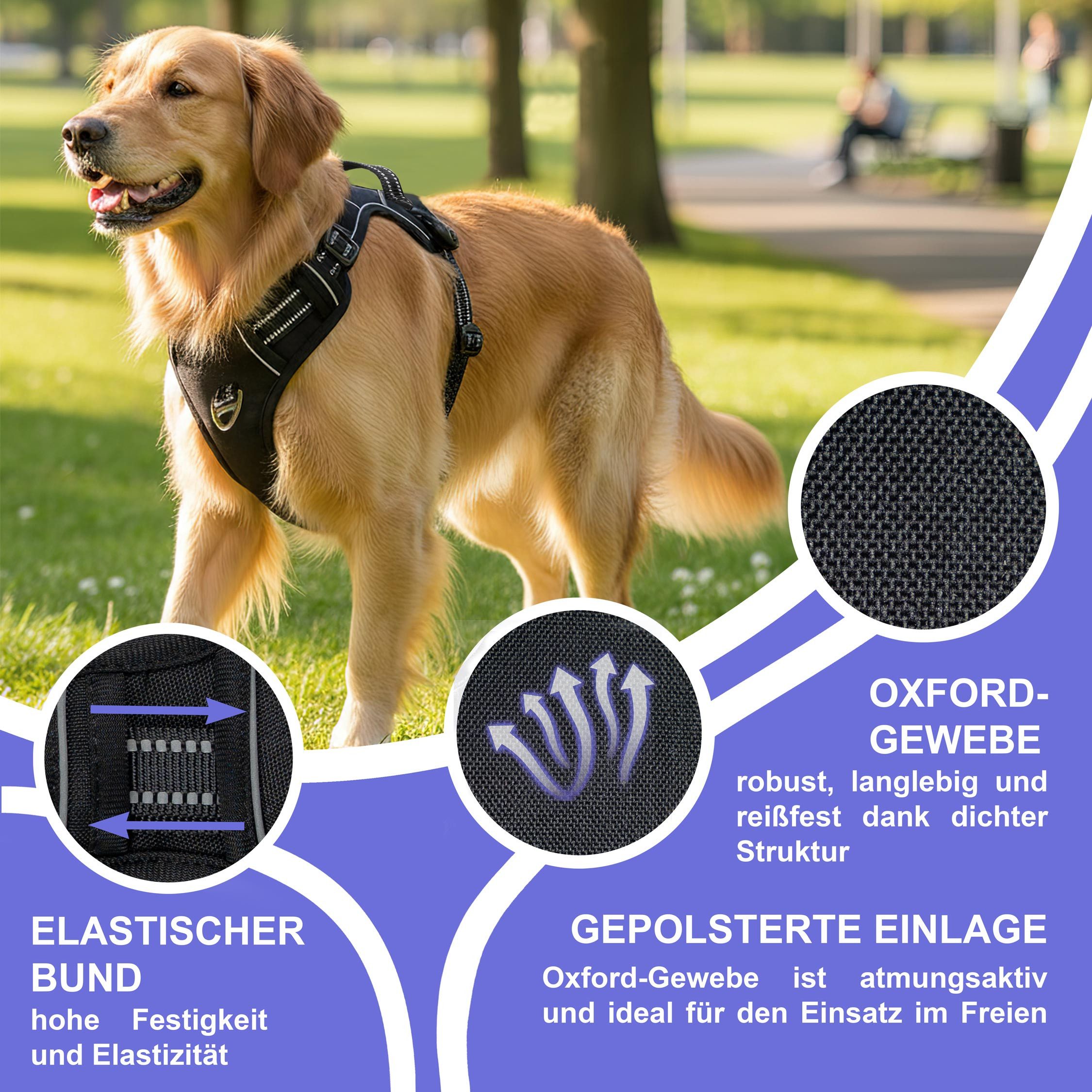 Reichstadt Hunde-Geschirr RS Pets Norwegergeschirr 25RSP083, Polyester, atmungsaktives Netzgewebe und robuster Oxford-Stoff