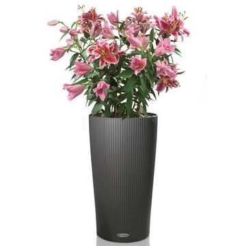 Lechuza® Blumentopf Blumentopf Cilindro Color 32 Komplett-Set Schiefergrau 13953 (1 St)