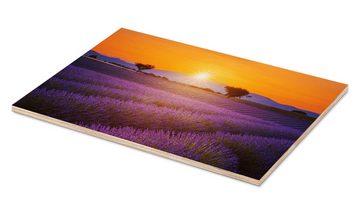 Posterlounge Holzbild Editors Choice, Sonne über dem Lavendel, Mediterran Fotografie