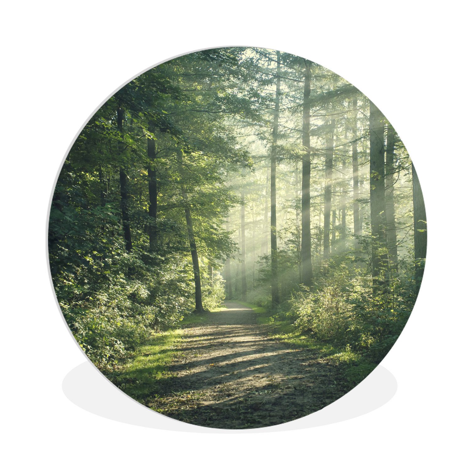 MuchoWow Gemälde Wald - Weg - günstig online kaufen