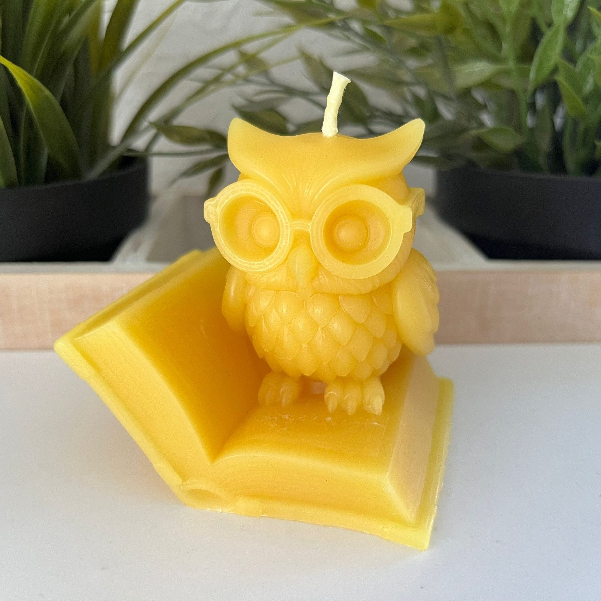 Aspinaworld Bienenwachskerze Eule Kerze mit Brille auf Buch 7 cm natur – Leseeule (1-tlg)
