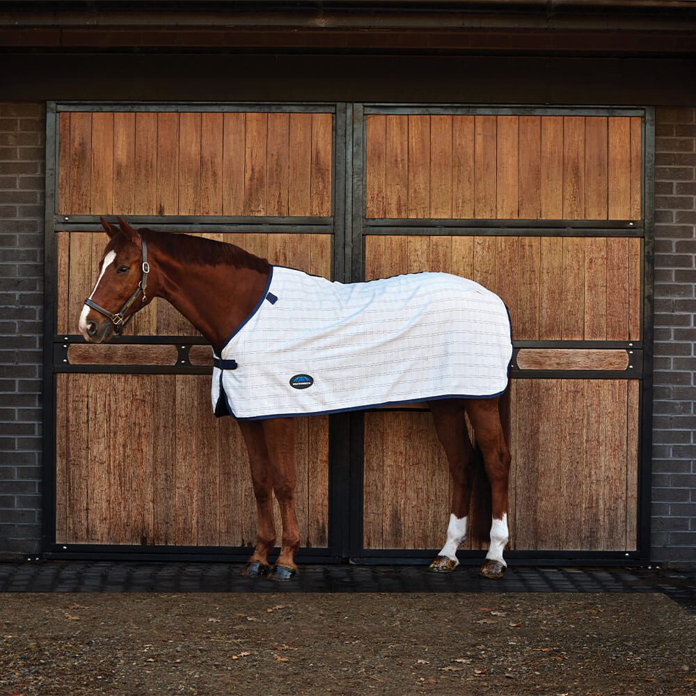 WeatherBeeta Pferde-Abschwitzdecke Weatherbeeta Comfitec Cotton Sheet Liner