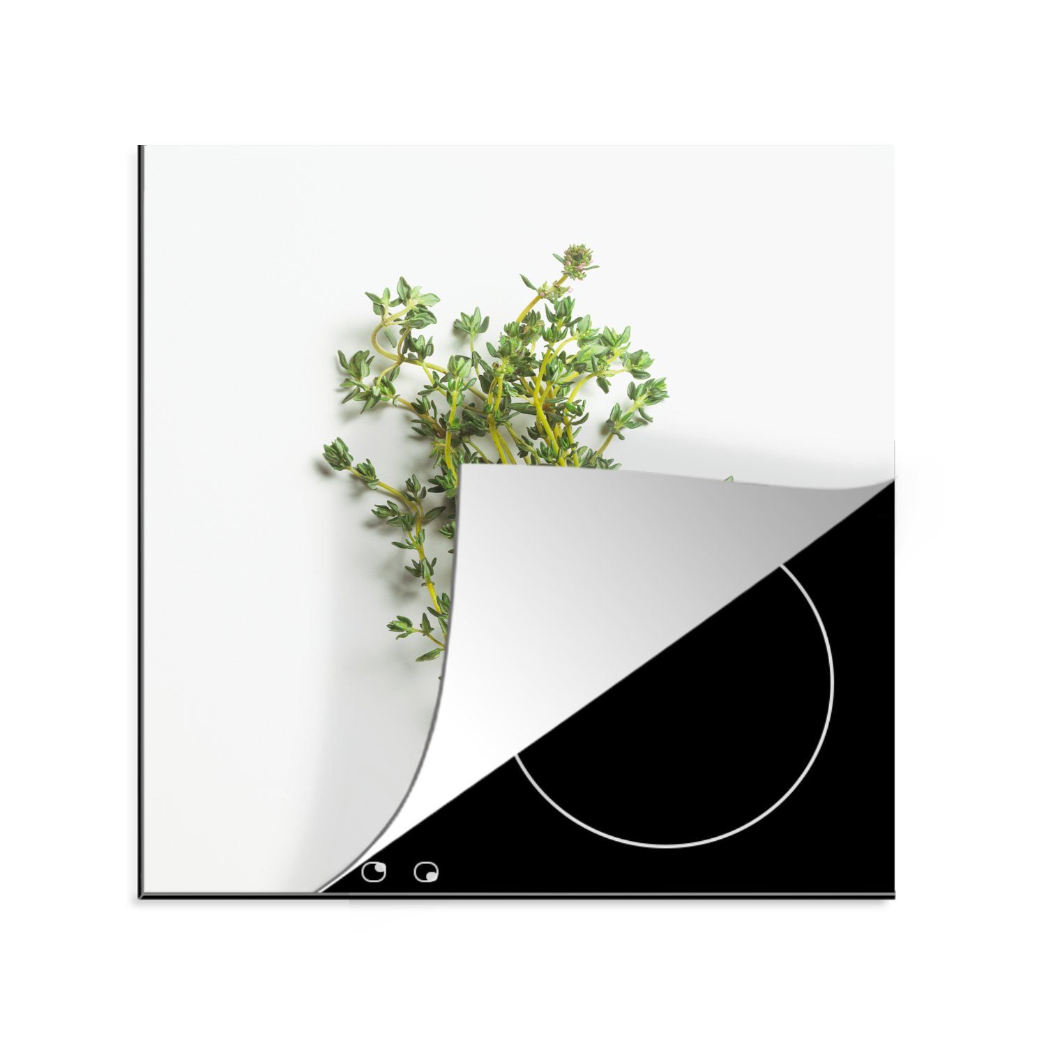 MuchoWow Herdblende-/Abdeckplatte Strauß frischer Thymiankräuter auf weißem Hintergrund, Vinyl, (1 tlg), 78x78 cm, Ceranfeldabdeckung, Arbeitsplatte für küche