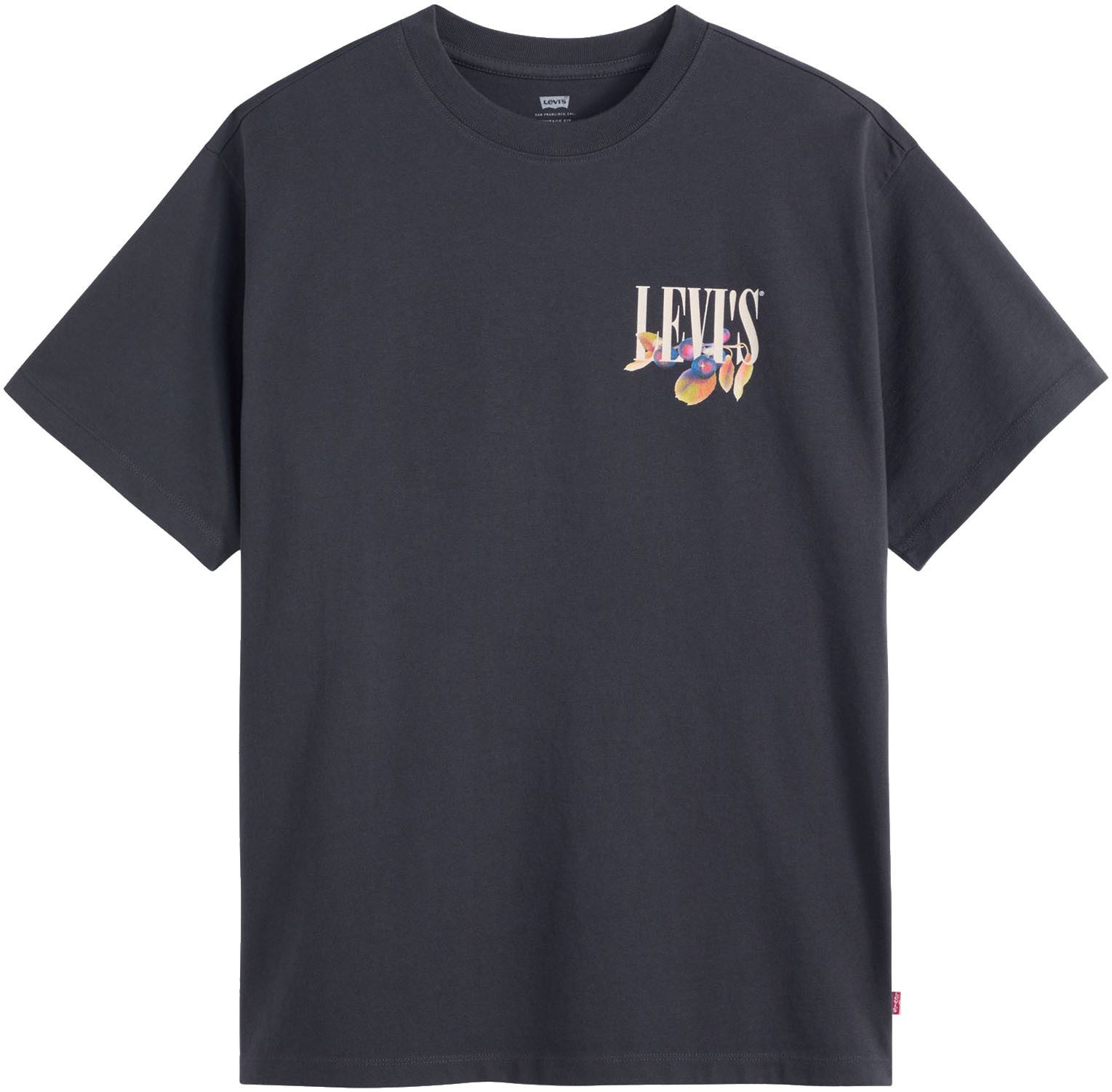 LEVIS SERIF WITH FRU 89