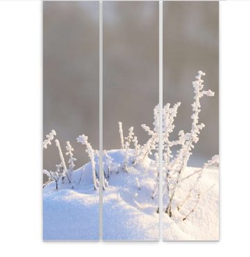 Schiebegardine Wintergras Flächenvorhang 3er Set 260 cm lang kürzbar - B-line, gardinen-for-life