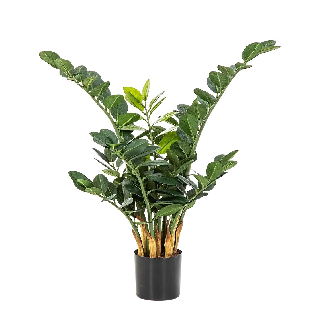 Kunstpflanze Künstliche Zamioculcas - Svea, 66 cm, aplanta