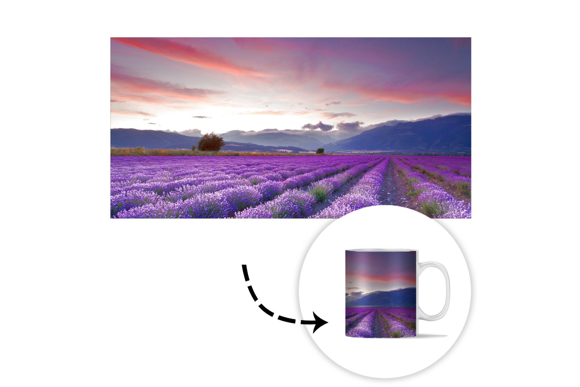 Kaffeetassen, Teetasse, Tasse über MuchoWow Sonnenuntergang Becher, Lavendel, Keramik, Geschenk Teetasse,