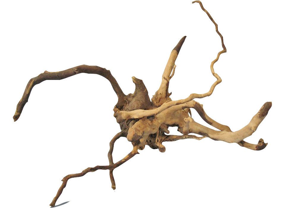 Aquariendeko Orbit Finger-Wurzel Größe S 15-20 cm