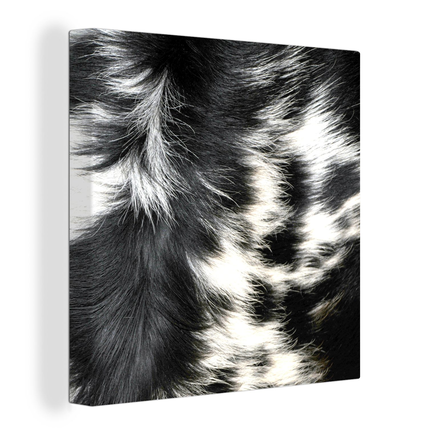 OneMillionCanvasses® Leinwandbild Die Kuhhaut einer Langhornkuh, (1 St), Leinwand Bilder für Wohnzimmer Schlafzimmer