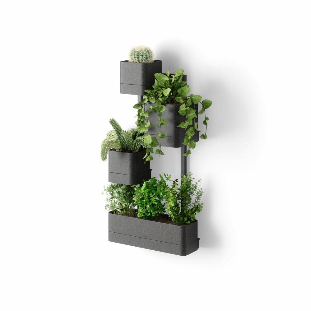 Umbra Pflanzkübel Wandpflanzkasten Cubiko 4-tlg. (Set, günstig online kaufen