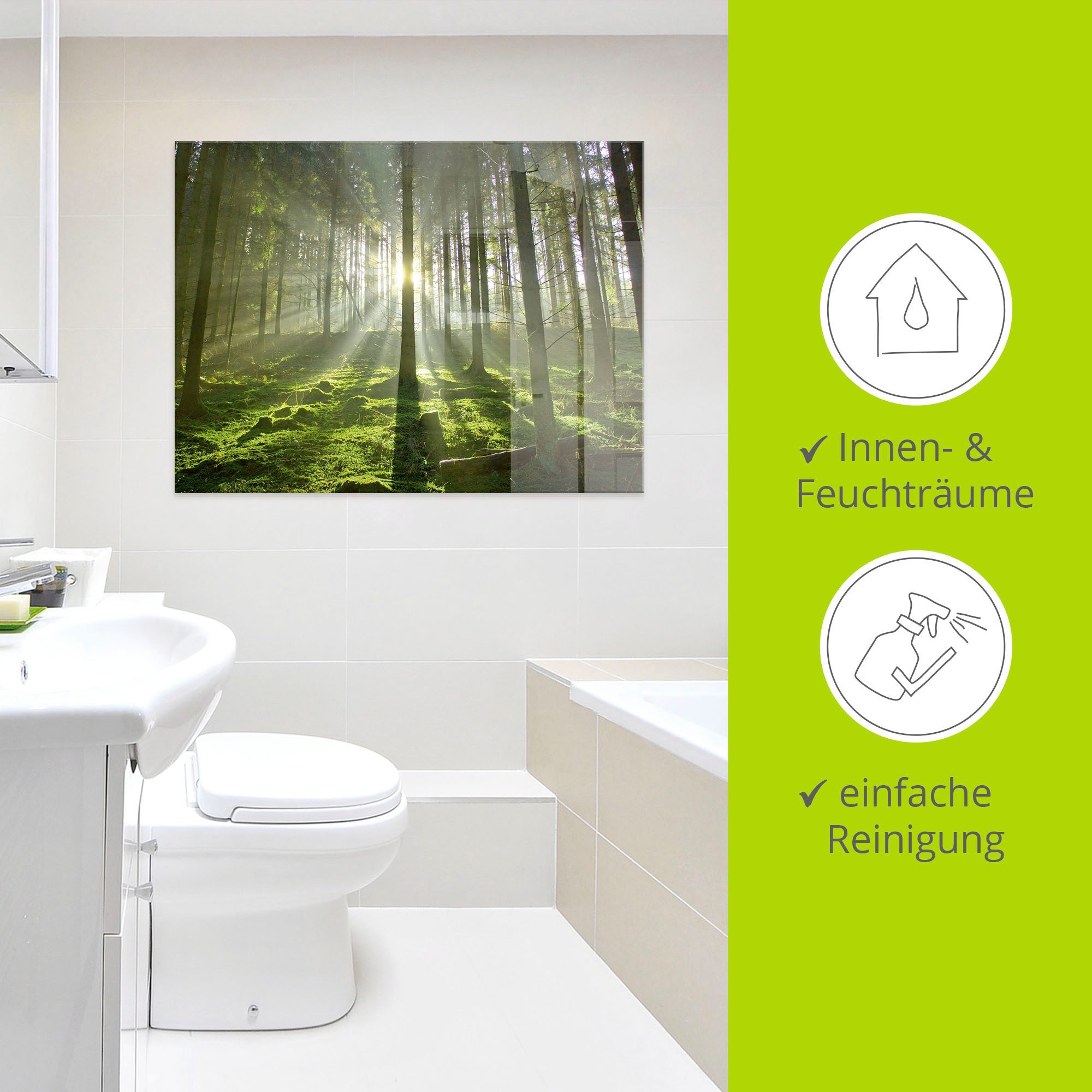 Artland Glasbild Wald im Gegenlicht, Wald (1 St), in verschiedenen Größen – Bild 4 von 5