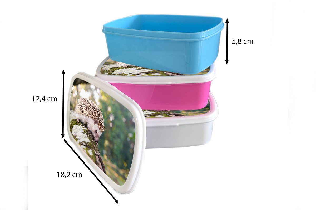 MuchoWow Lunchbox Kriechender Kunststoff, einem Brotbox auf Igel und Mädchen (2-tlg), weiß Erwachsene, Kinder Brotdose, für Ast, für Jungs und