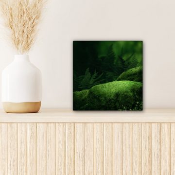 OneMillionCanvasses® Leinwandbild Moos - Stein - Wald, (1 St), Leinwand Bilder für Wohnzimmer Schlafzimmer, 20x20 cm