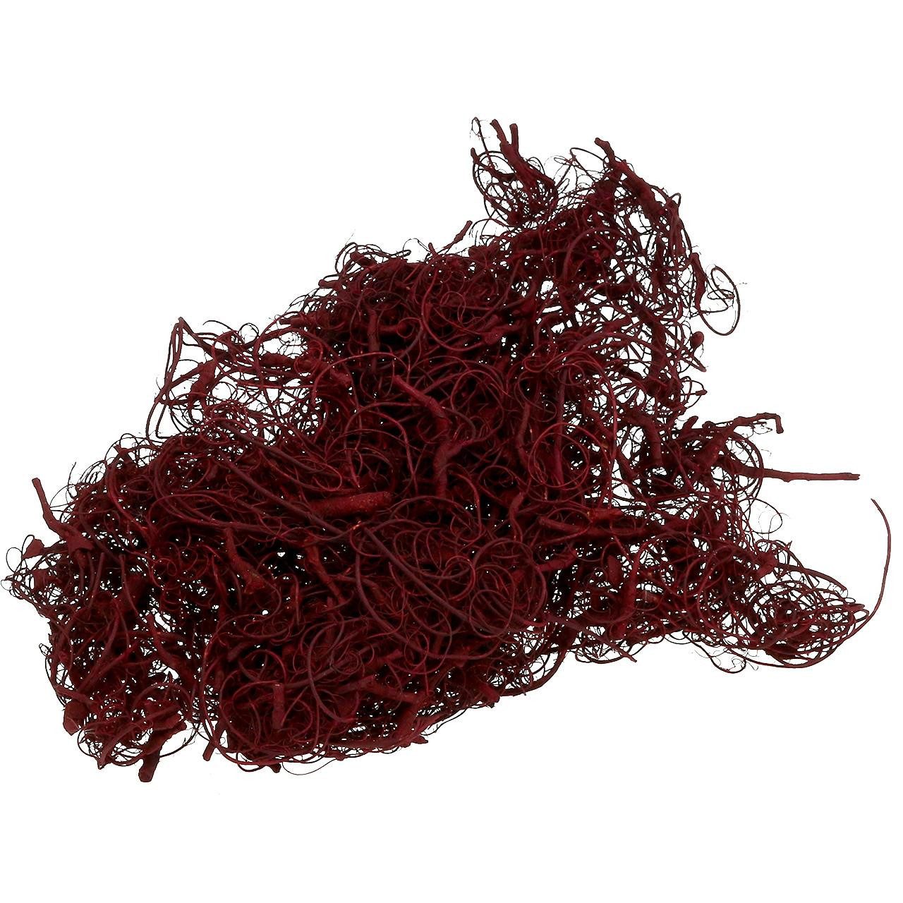 Trockenblume Tamarind Fibre Weinrot 500g - Natürliche Deko aus Tamarindenfaser für