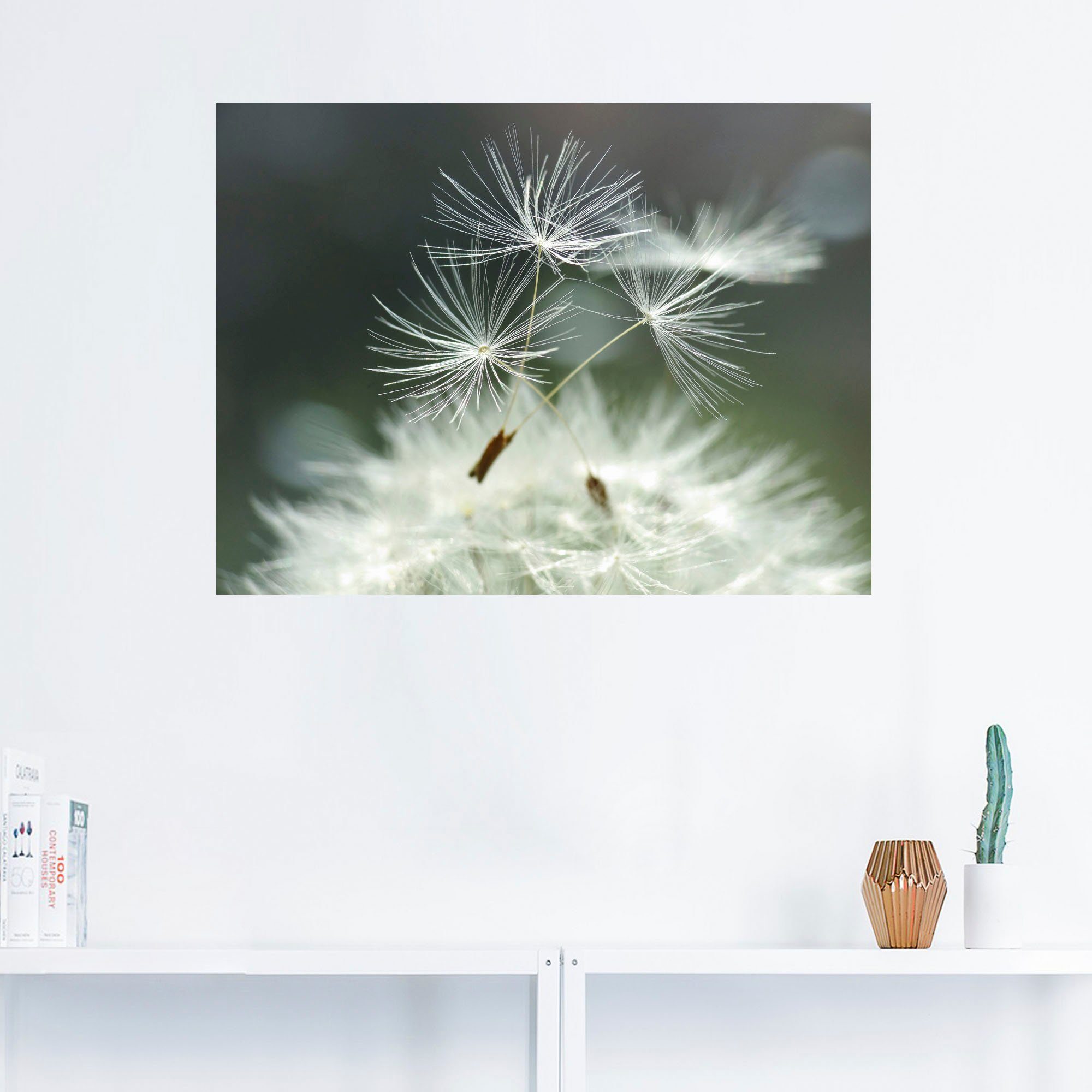 Artland Wandbild Pusteblume Facility, Blumen (1 günstig online kaufen