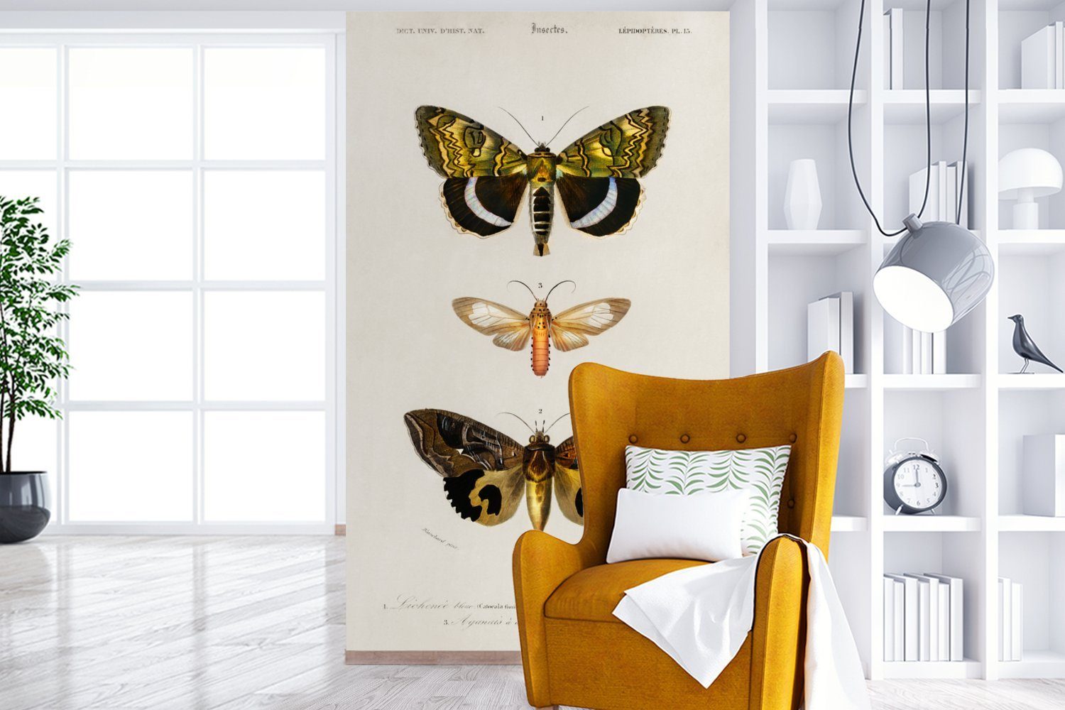 Schlafzimmer, MuchoWow für St), Matt, (3 Kinderzimmer, Wohnzimmer, Vinyl Vintage - Insekten, Wallpaper Tapete Schmetterling Fototapete - bedruckt,