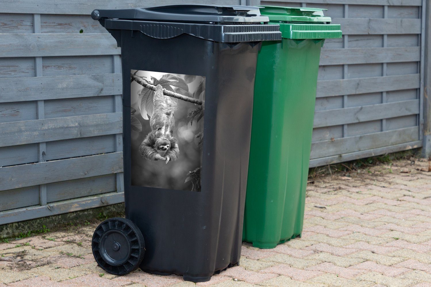 MuchoWow Wandsticker Ein Abfalbehälter Container, Mülltonne, Bäumen - Faultier, St), hängt (1 und Mülleimer-aufkleber, das weiß den Sticker, schwarz in kopfüber