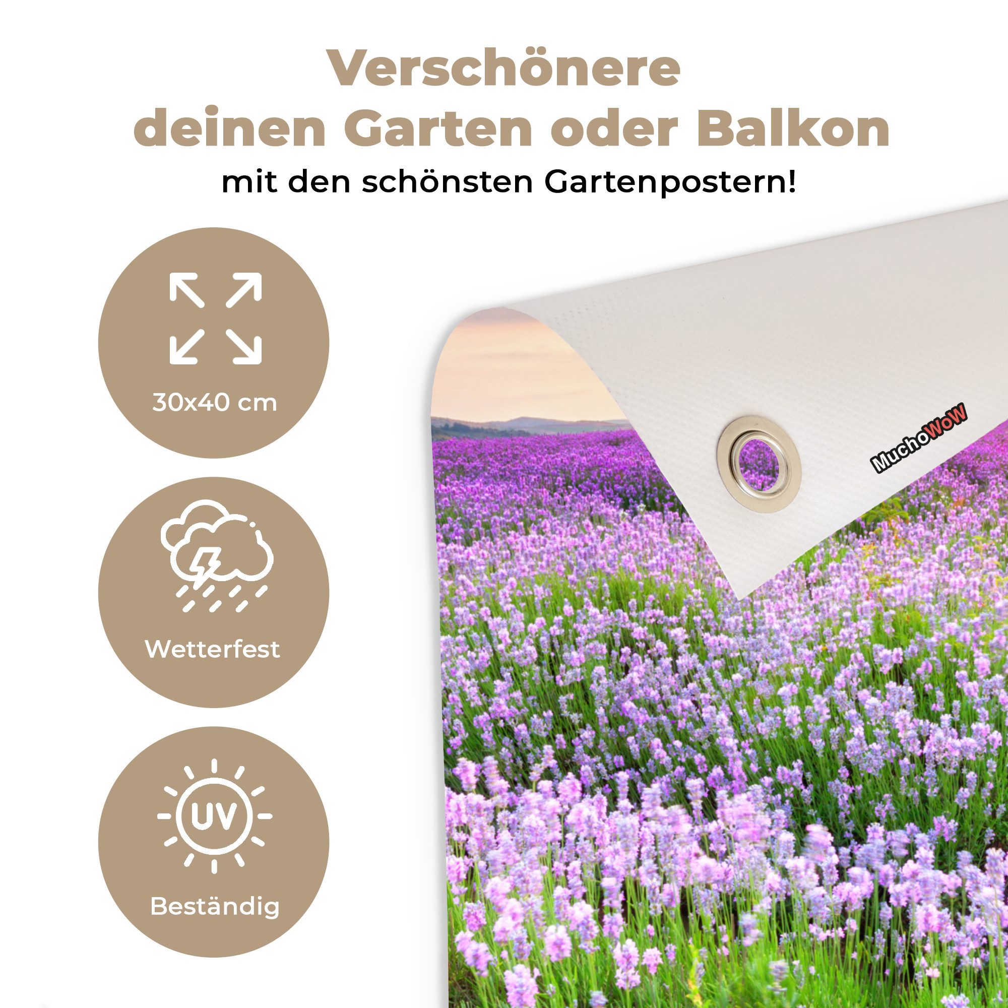 OnlyWow Poster für Garten Blumen - Lavendel - Lila - Himmel - Sonnenuntergang - Wiese, Gartenposter, Outdoor Bilder, Gartendeko für draußen, 30x40 cm