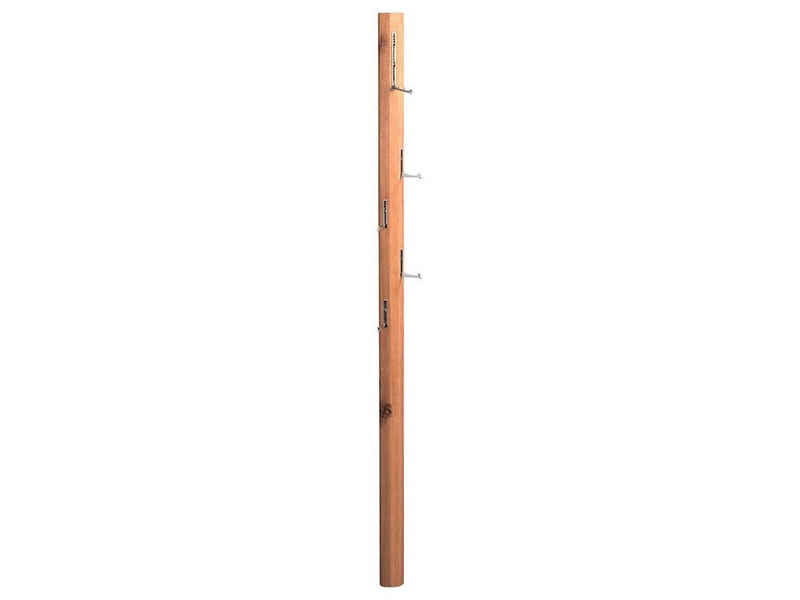 möbelando Wandgarderobe Kobuo, Hochwertige Wandgarderobe aus Massivholz in Wildeiche geölt. Breite 8 cm, Höhe 185 cm, Tiefe 4 cm.