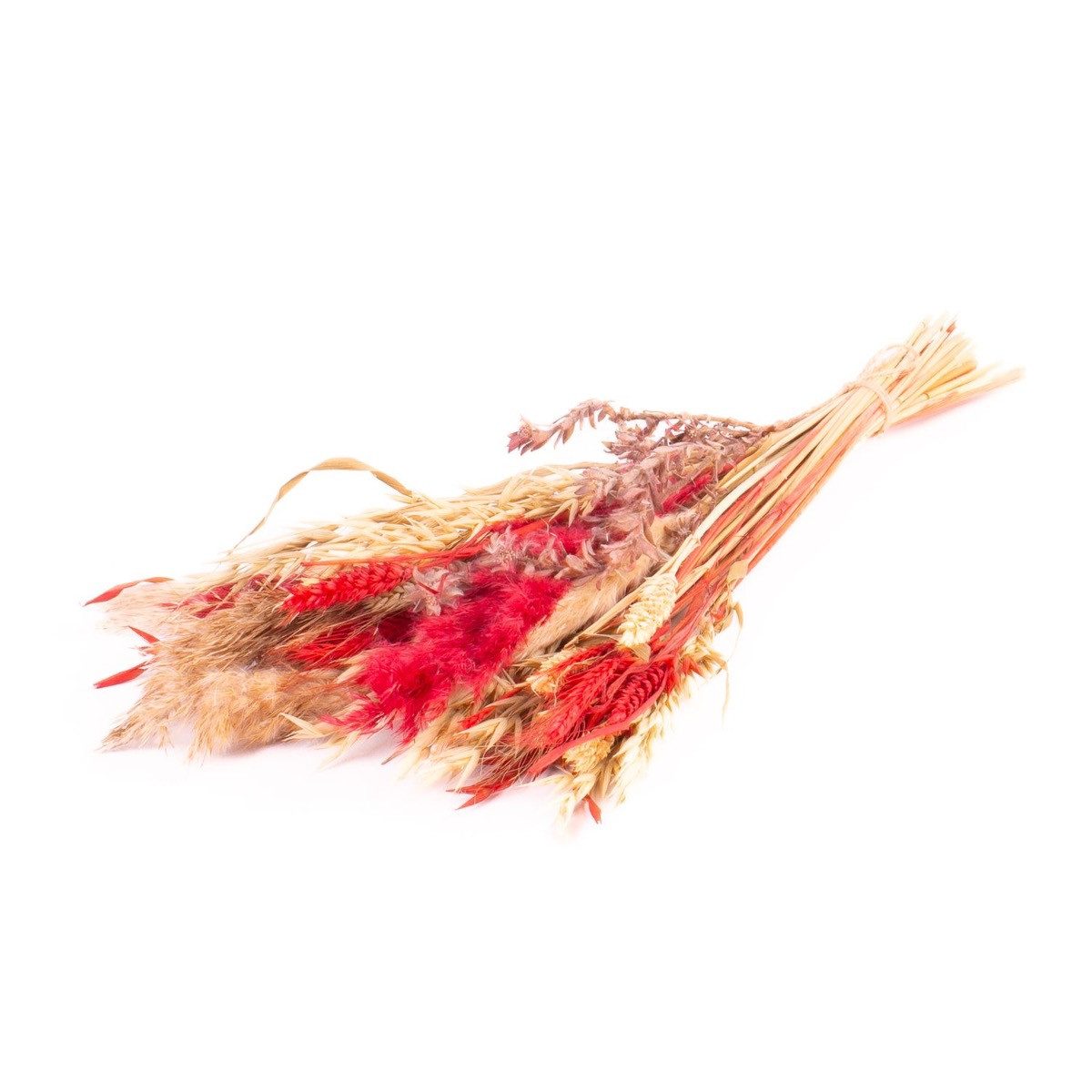 Trockenblume Trockenstrauß DILIANE, rot-Natur, 50cm, Ø15cm, INNA-Glas, Höhe 50.0 cm